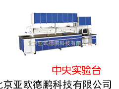 DP-OY-ZST中央实验台