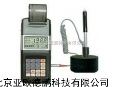 DP-TH110便携式里氏硬度计