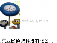 泳池浴缸温度计/游泳池温度计