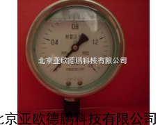 DP-YTN100F不锈钢耐振压力表/抗振压力表