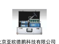 地下管线防腐层探测检漏仪
