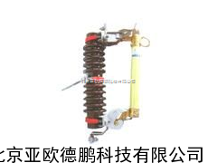 DP-RW11-10/200A熔断器