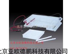 琼脂糖水平电泳仪/琼脂糖水平电泳槽