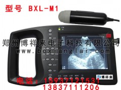 怎么判断虚拟兽用B超和全数字兽用B超