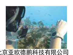 腕式个人剂量计/手腕式γ辐射仪