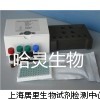  羟脯氨酸（HYP）终点比色法定量检测试剂盒