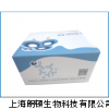 人肿瘤坏死因子β(TNF-β)ELISA Kit