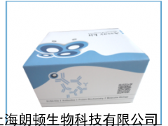 人γ干扰素(IFN-γ)ELISA Kit