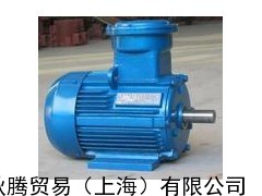 供应意大利CEMP电机