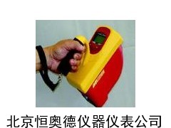 电离室剂量和剂量率检测仪/射线检测仪
