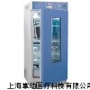MJ-250-II霉菌培养箱
