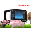 母猪疾病诊断仪，疾病监测仪，兽用B超