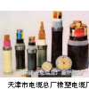 详细介绍耐火电力电缆NH-YJV22zui格