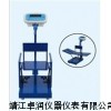電子兒童秤，兒童身高體重秤，人體秤