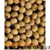 大豆異黃酮