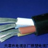CEFR/SA3*25+2*10mm2价格