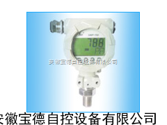 SBWR/Z一体化温度变送器