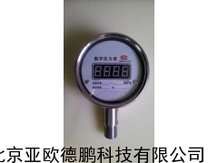 峰值数字压力表/峰值压力表