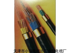 控制電纜，屏蔽鎧裝控制電纜