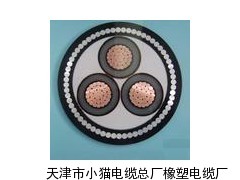 MYJV4210KV高压矿用钢丝电力电缆