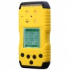 TD-1200H-O3便携式臭氧检测仪，臭氧检测仪