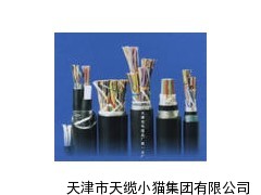 聚氯乙烯缘全塑通信电缆HYA