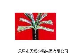 电子计算机用阻燃电缆ZR-DJYVP计算机屏蔽电缆