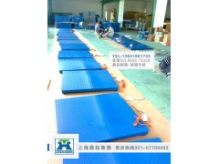 电子磅称，小地磅称，单层电子平台称