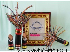 5对/10对HYA通信电缆价格