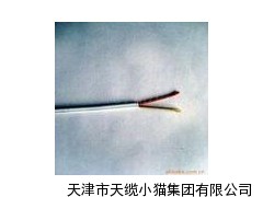 HYAC20对架空自称式通信电缆