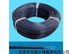屏蔽计算机电缆DJYVP DJYPV;计算机屏蔽电缆