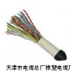 小猫牌ZR-HYAT53填充式铠装通信电缆zui格