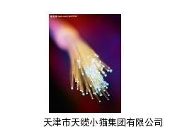河北HYA 100×2×0.5 通信电缆厂家