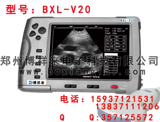 防水兽用B超