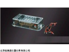 JXH-DY-35 水平电泳槽