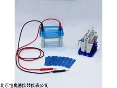 BL/DYCZ-24DN 广西 迷你双垂直电泳仪