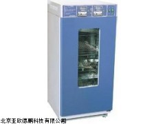 DPHS-150SC 简易型恒温恒湿箱