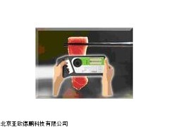 DP/Mini-FA食品亚硝酸盐快速检测仪，亚硝酸盐检测仪