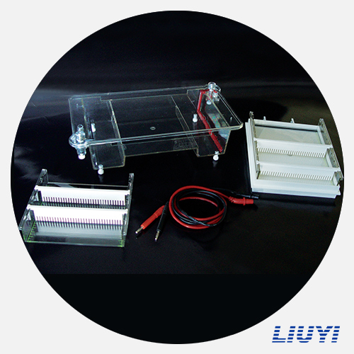  DYCP-31E型琼脂糖水平电泳仪(中号)