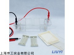 DYCP-31CN型瓊脂糖水平電泳儀(小號)