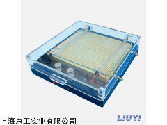 DYCP-37B型等電聚焦電泳儀