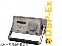 本安防爆型便攜式露點檢測儀 Model DSP-Ex