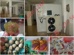 果品烘干机，果脯烘干机，果类烘干机