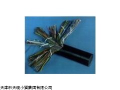 BPVVP变频器电缆经销商