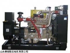 山东康姆勒供应燃气发电机组