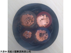 BXVW电缆供应BXVW电缆电线
