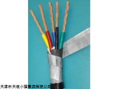 BPVVP变频器电缆价格
