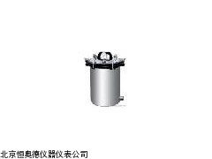 HAD-YX-280B   浙江  压灭菌锅
