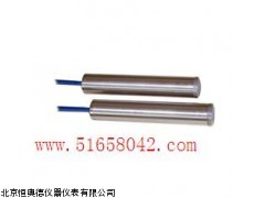 DYY-YT-300A标准型渗压计