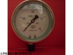 PT-YTN100F不锈钢耐振压力表